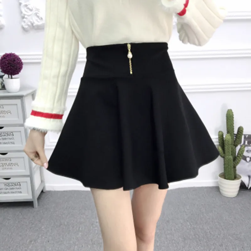 Black Pleated Skirt AD11323