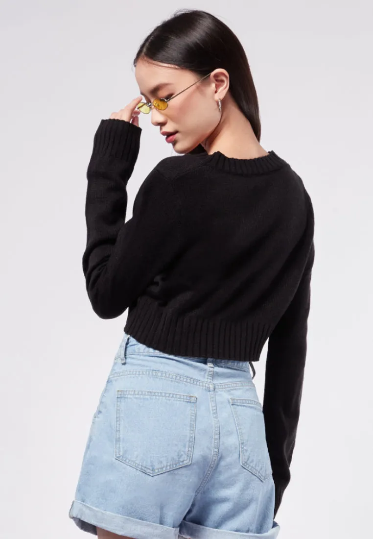 Cropped V-Neck Sweater