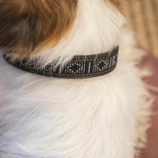 Dog Collar Handmade Pearls