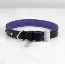 DOG COLLAR/LARGE