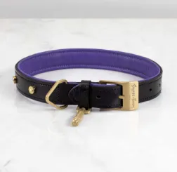 DOG COLLAR/LARGE