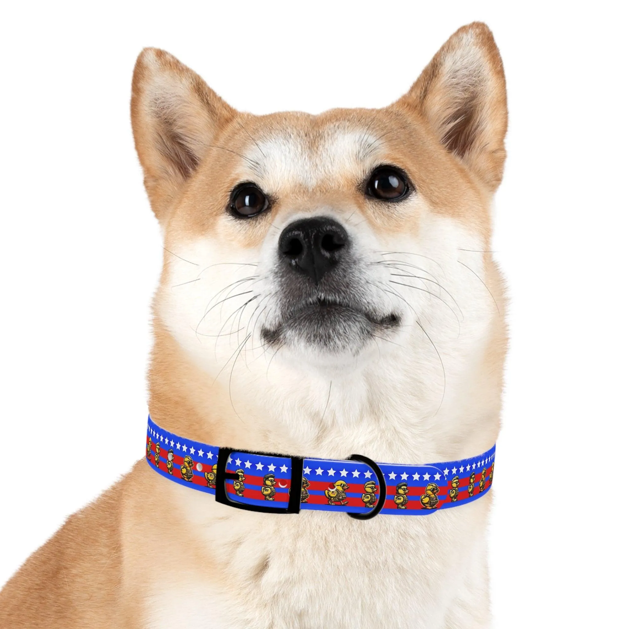 Duck Duck American Dog Collar