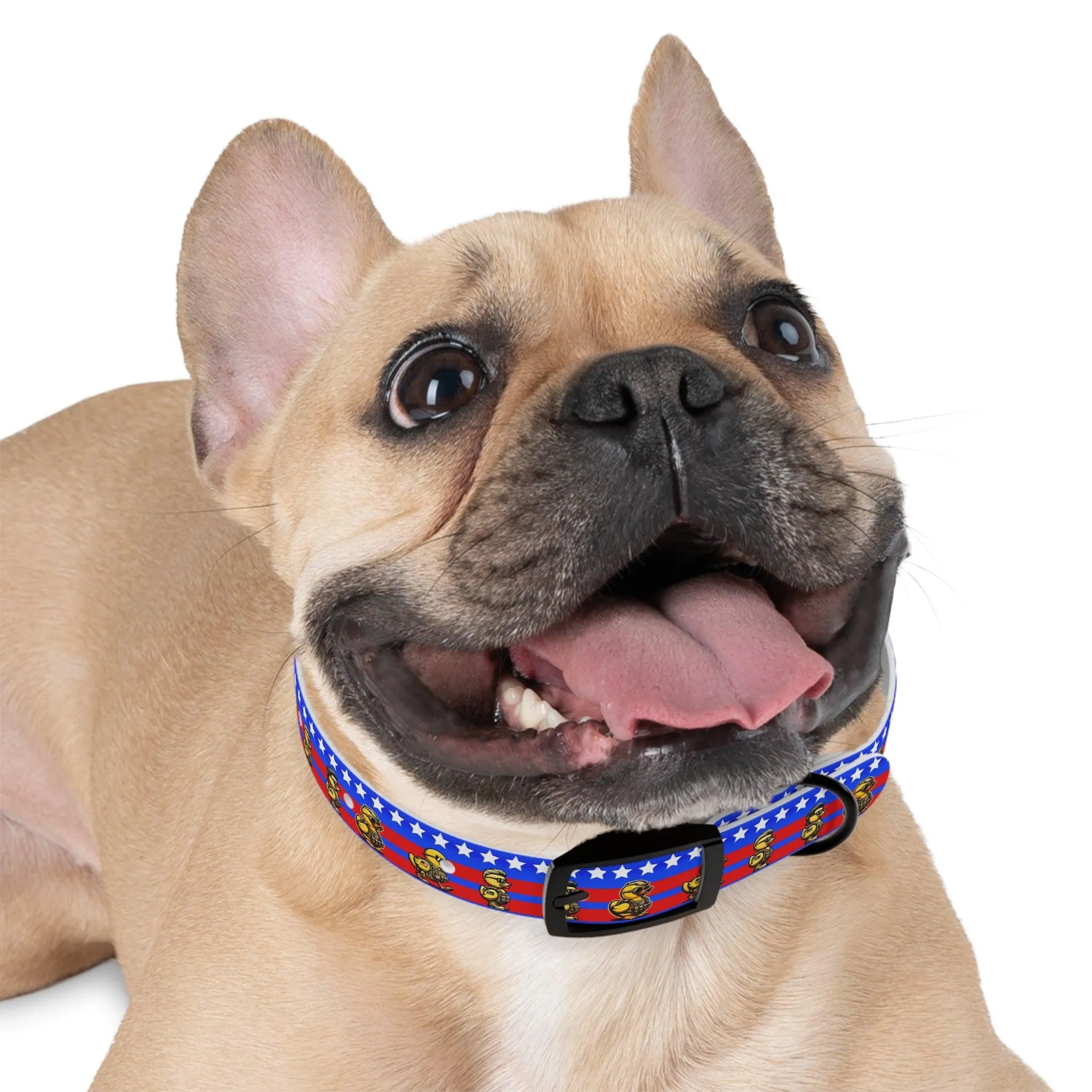 Duck Duck American Dog Collar