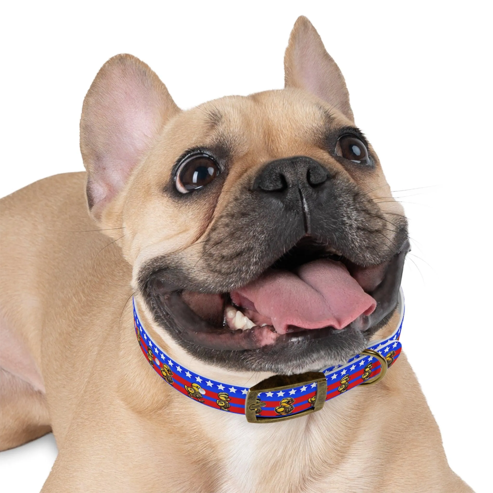 Duck Duck American Dog Collar