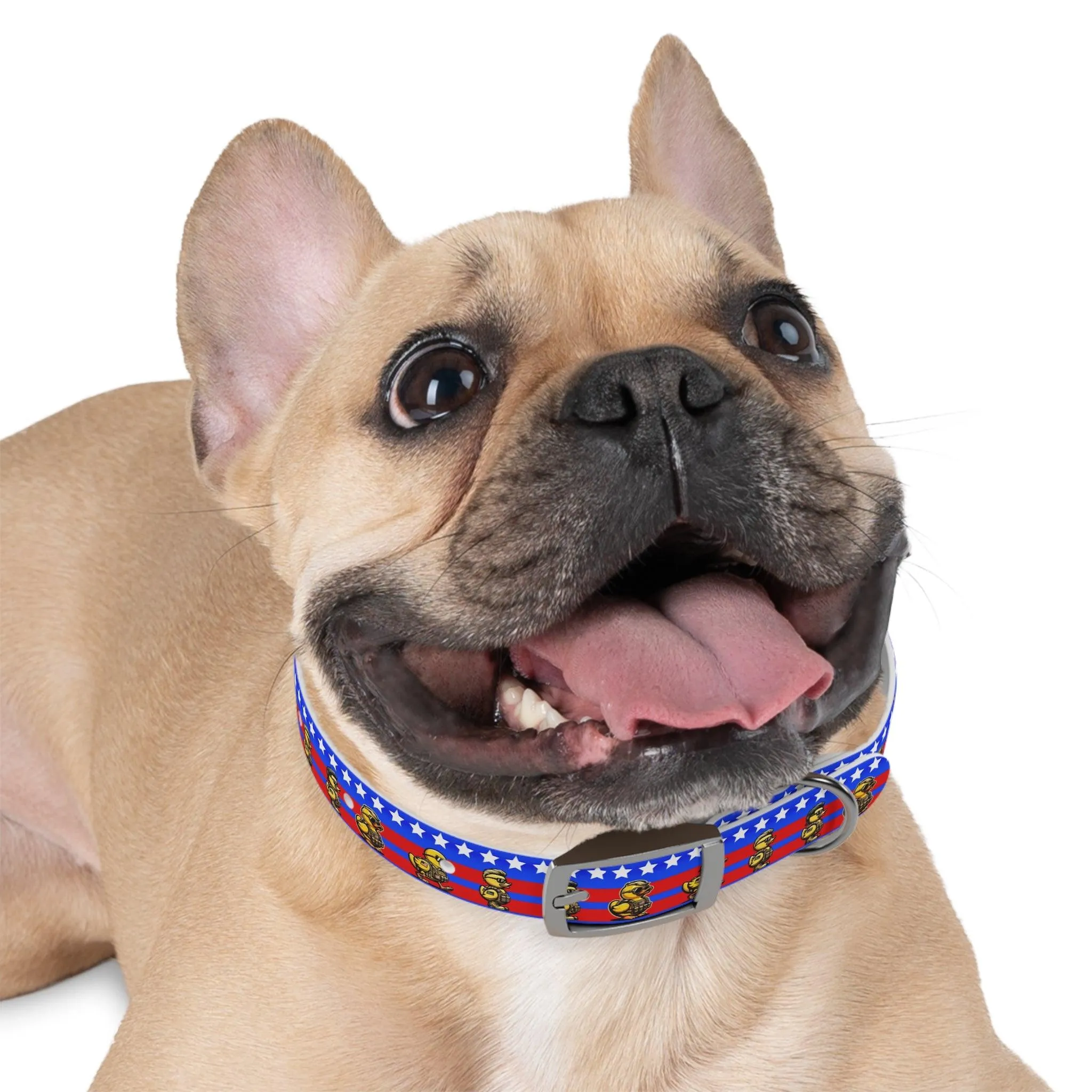 Duck Duck American Dog Collar