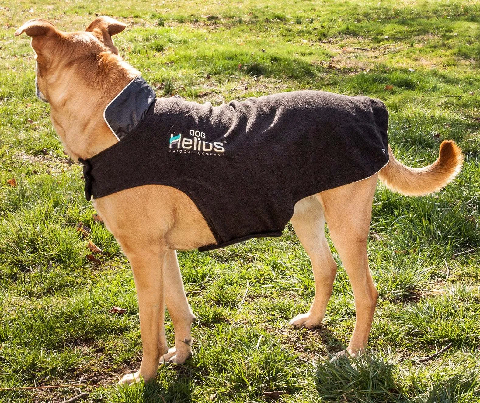 Helios Lotus-Rusher 2-in-1 Jacket for Dogs