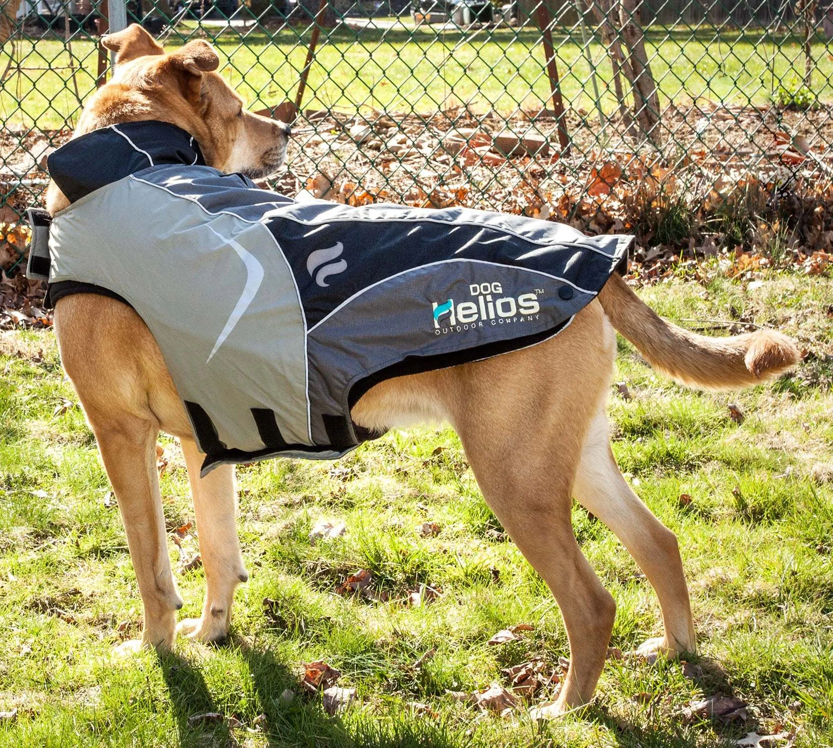 Helios Lotus-Rusher 2-in-1 Jacket for Dogs