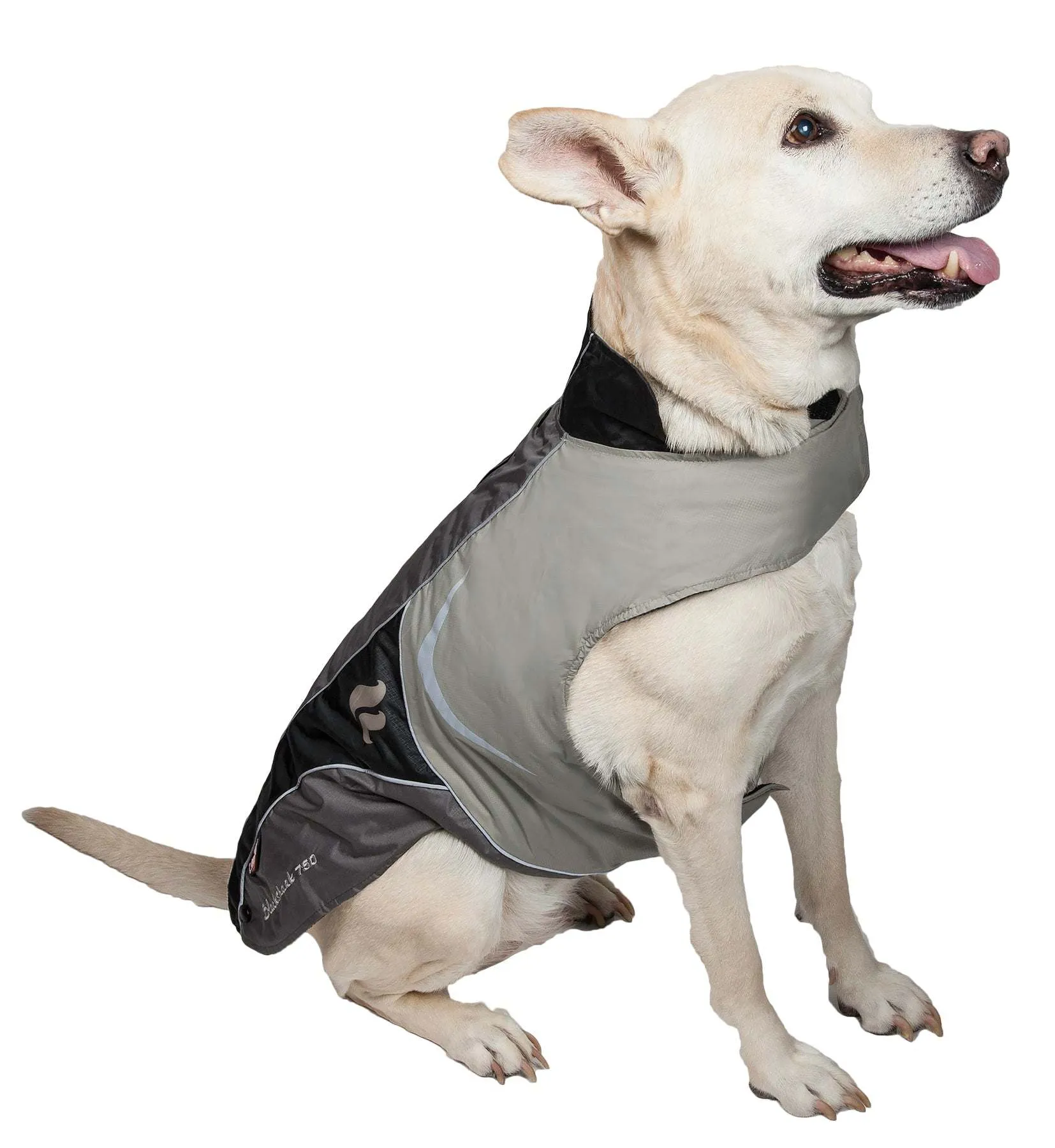 Helios Lotus-Rusher 2-in-1 Jacket for Dogs