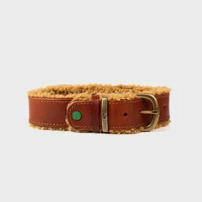 Leather Teddy Collar Brown - Dog with a Mission