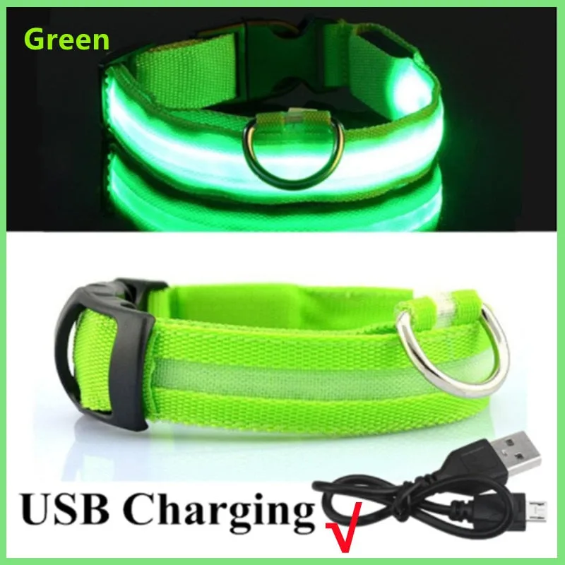 LED Light Up Dog Collar USB Rechargeable, No Batteries Needed! (Sizes 28cm-62cm)