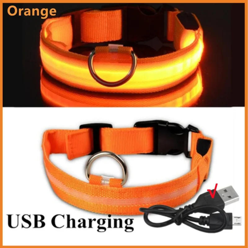 LED Light Up Dog Collar USB Rechargeable, No Batteries Needed! (Sizes 28cm-62cm)