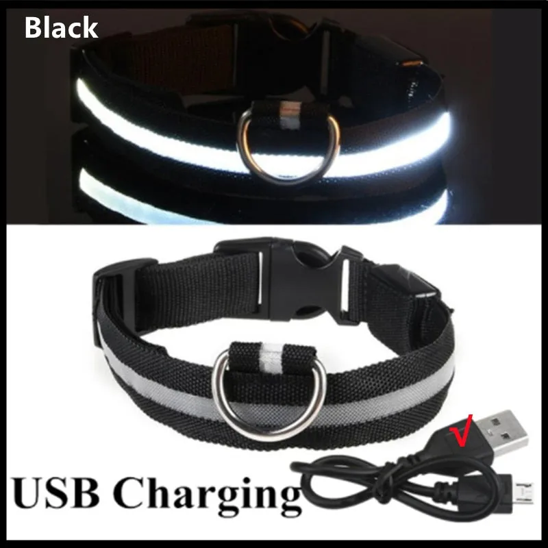 LED Light Up Dog Collar USB Rechargeable, No Batteries Needed! (Sizes 28cm-62cm)