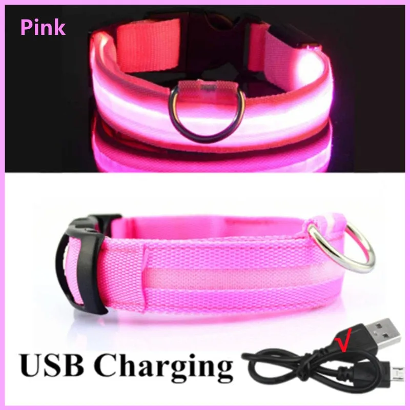 LED Light Up Dog Collar USB Rechargeable, No Batteries Needed! (Sizes 28cm-62cm)