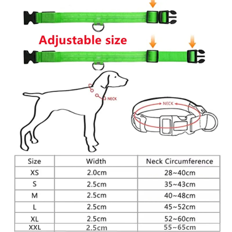 LED Light Up Dog Collar USB Rechargeable, No Batteries Needed! (Sizes 28cm-62cm)