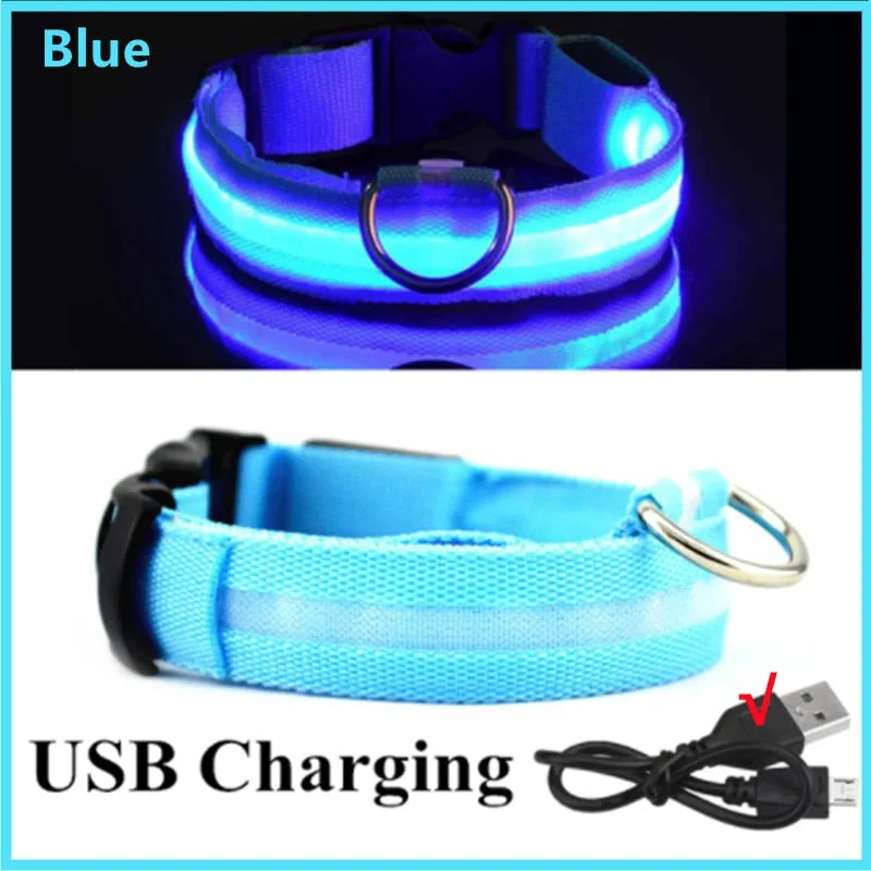 LED Light Up Dog Collar USB Rechargeable, No Batteries Needed! (Sizes 28cm-62cm)