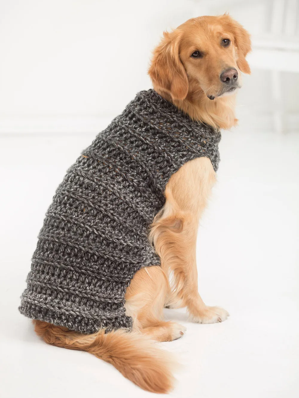 Marley Dog Sweater (Crochet) - Version 1