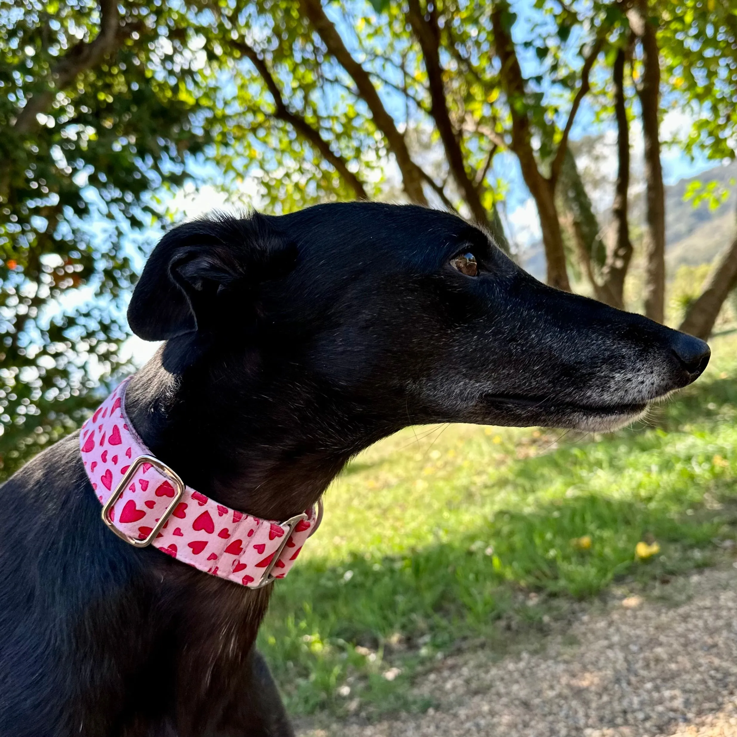 Martingale Collar - Amore Accents