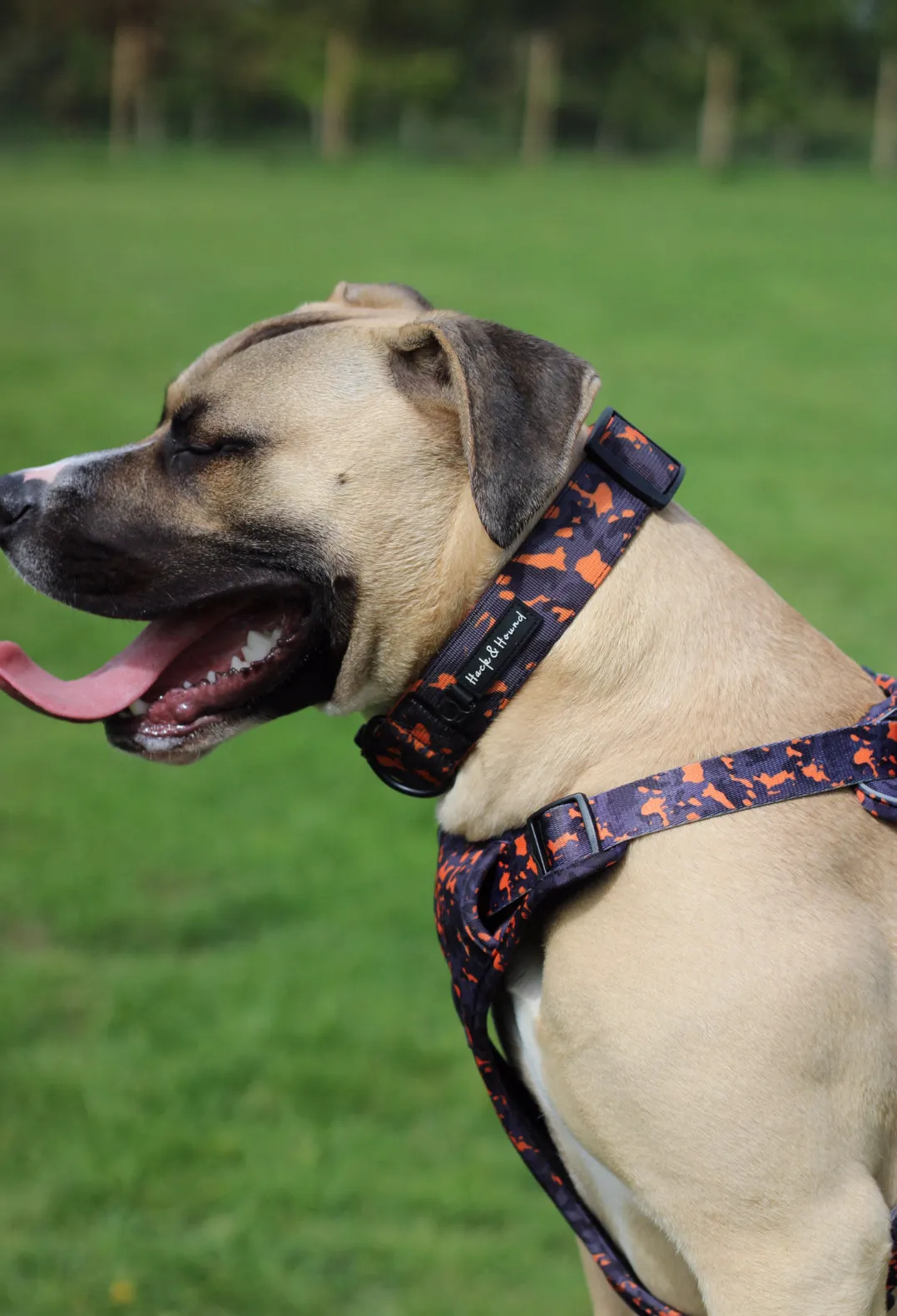 Pathfinder Tactical Wide Collar - Orange Camo