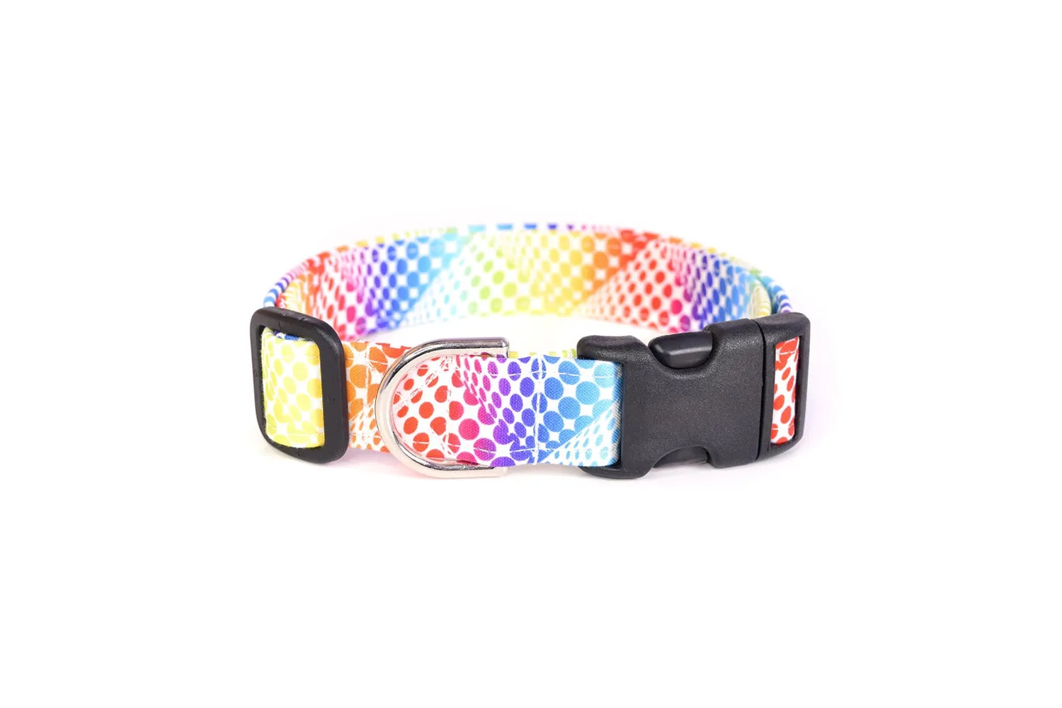 Rainbow Dots on White Dog Collar