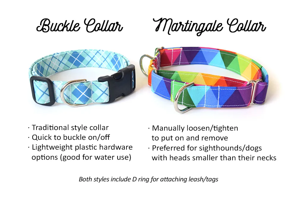 Rainbow Dots on White Dog Collar