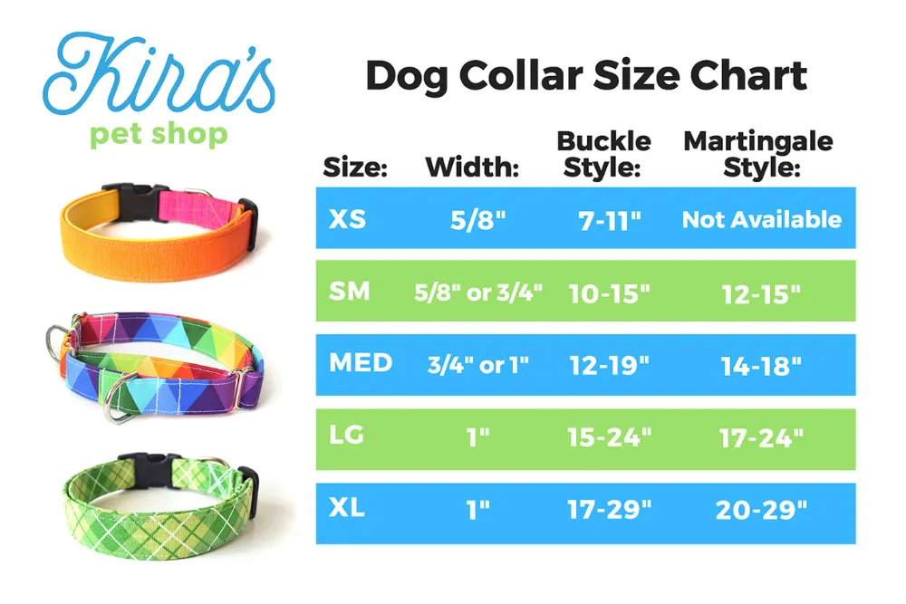 Rainbow Dots on White Dog Collar