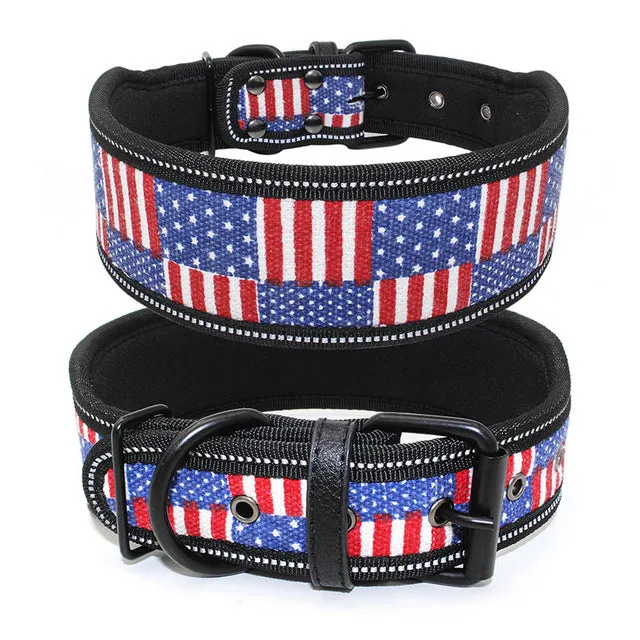 Reflective Dog Collar with Buckle Adjustable