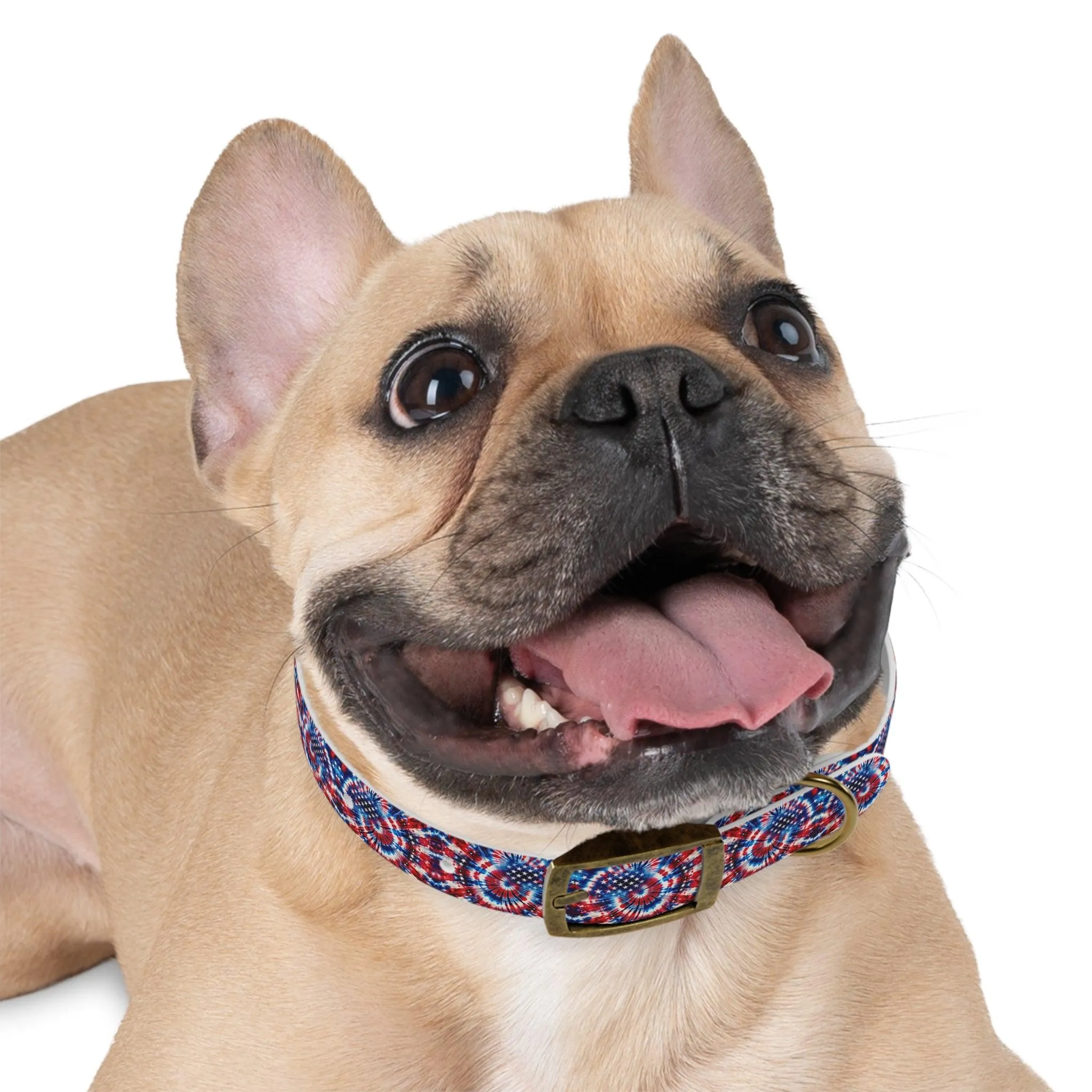 Stellar Swirls: Tie Dye Stars and Stripes Dog Collar