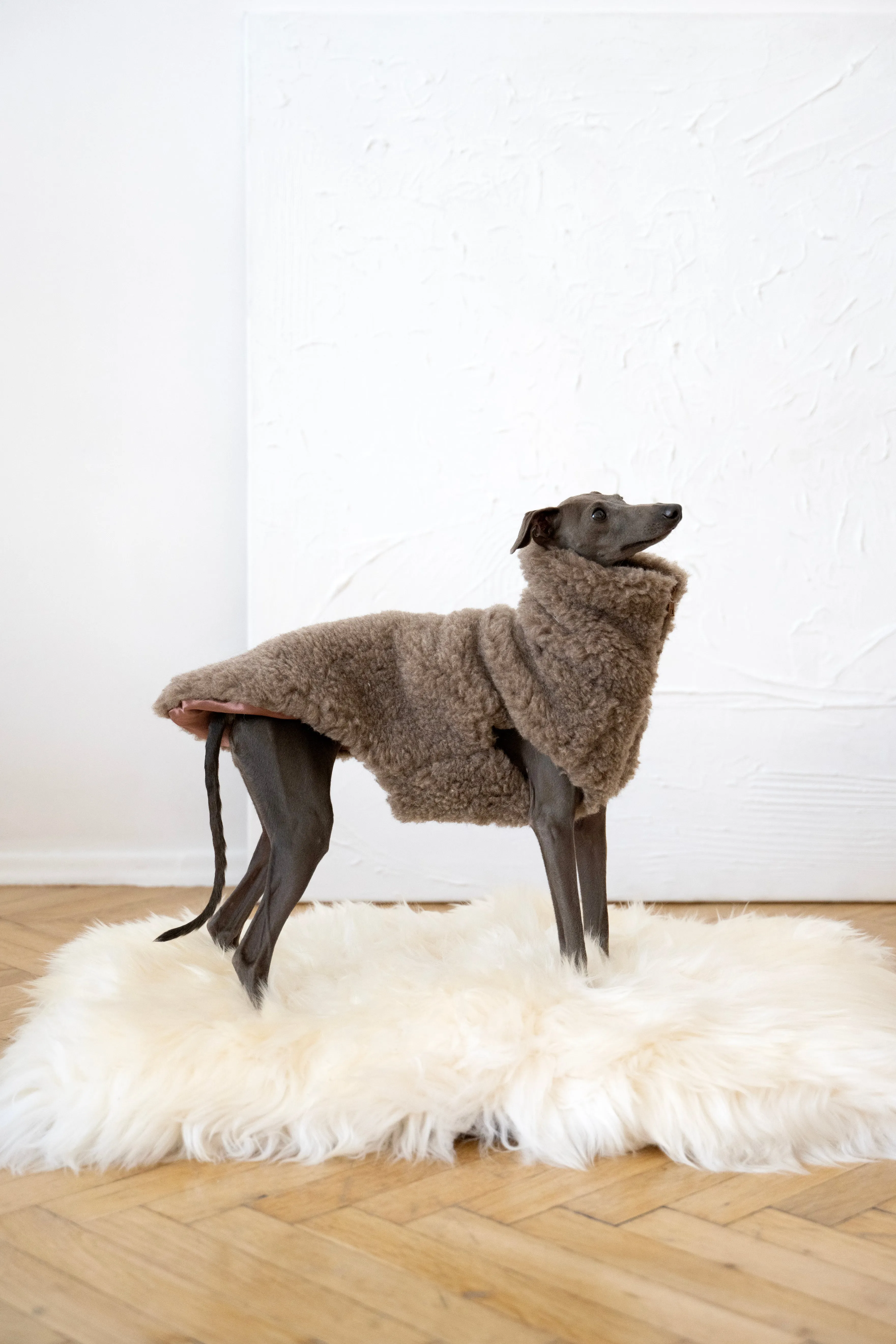 Woolen Dog Vest - Beige